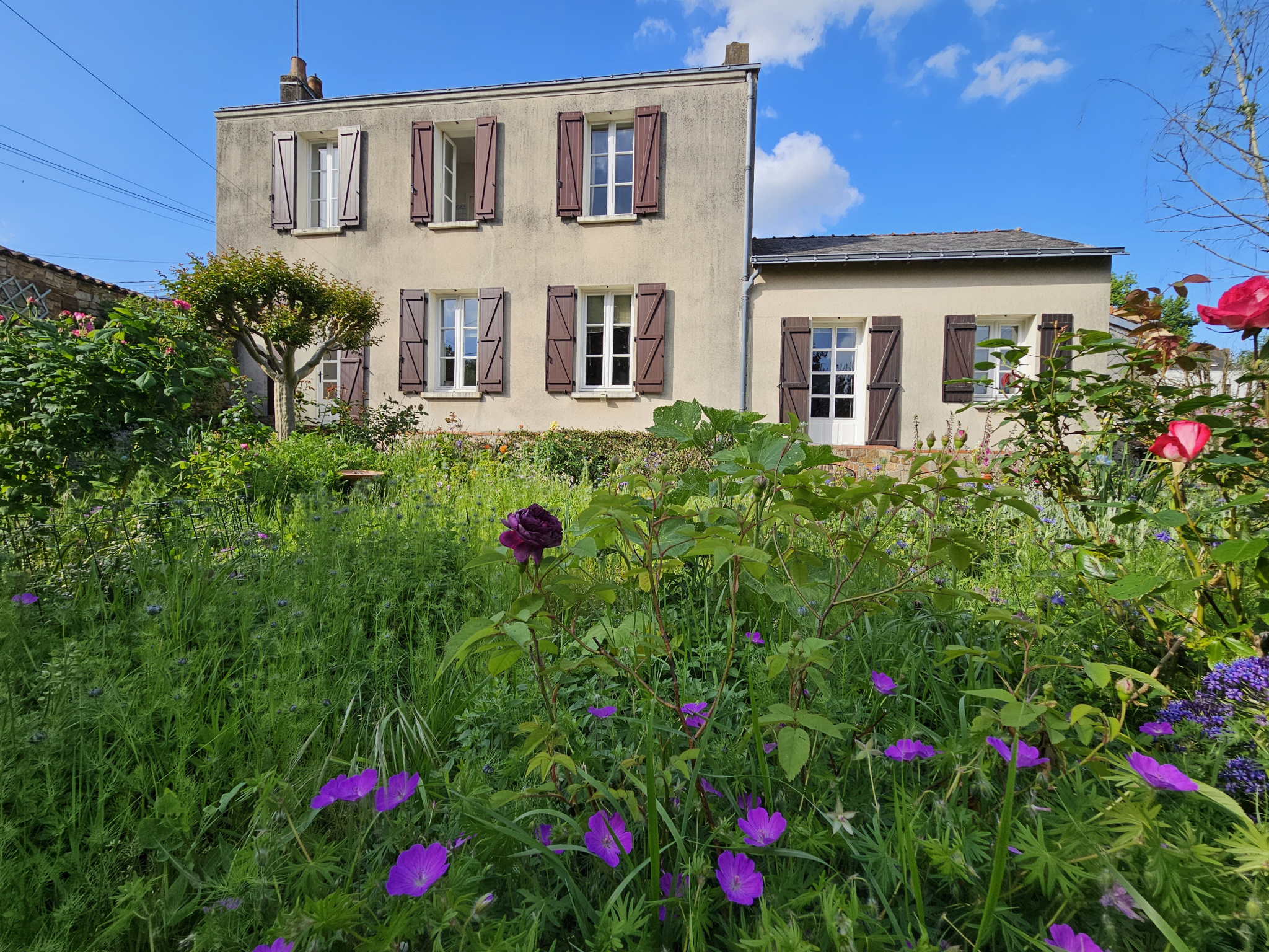 Photo bien immobilier