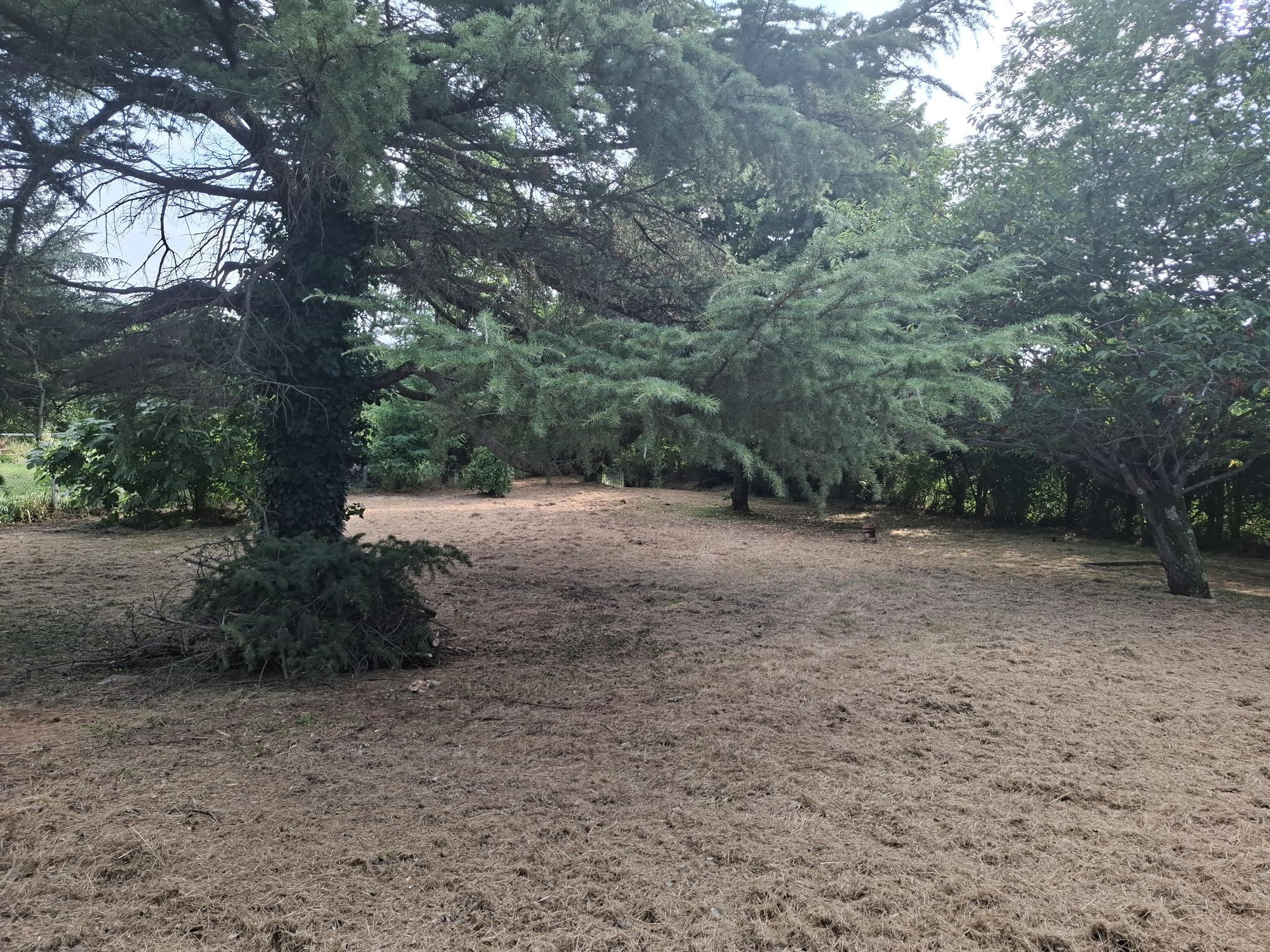 Photo bien immobilier