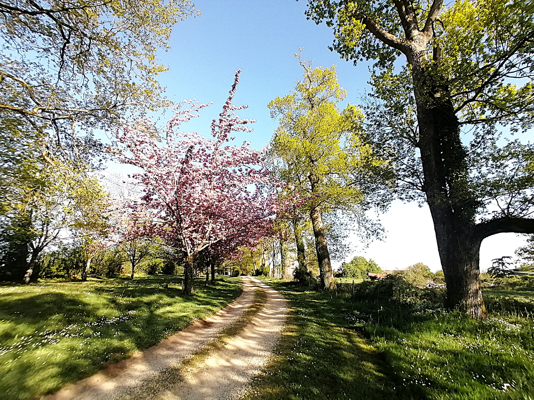 Photo bien immobilier