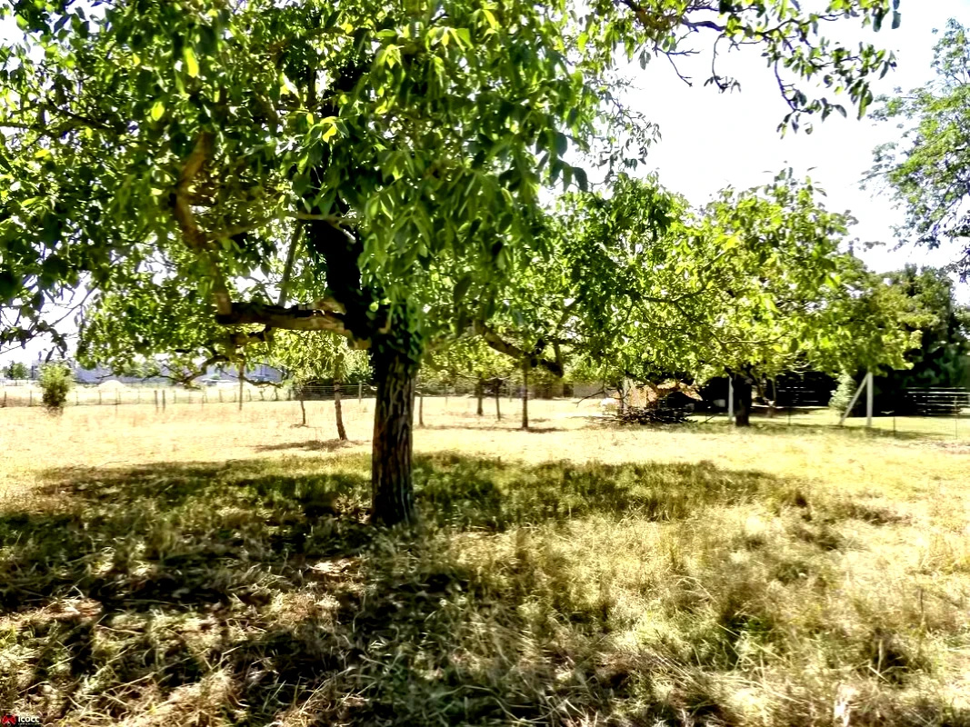 Terrain à bâtir Opportunité rare dans une commune dynamiqu