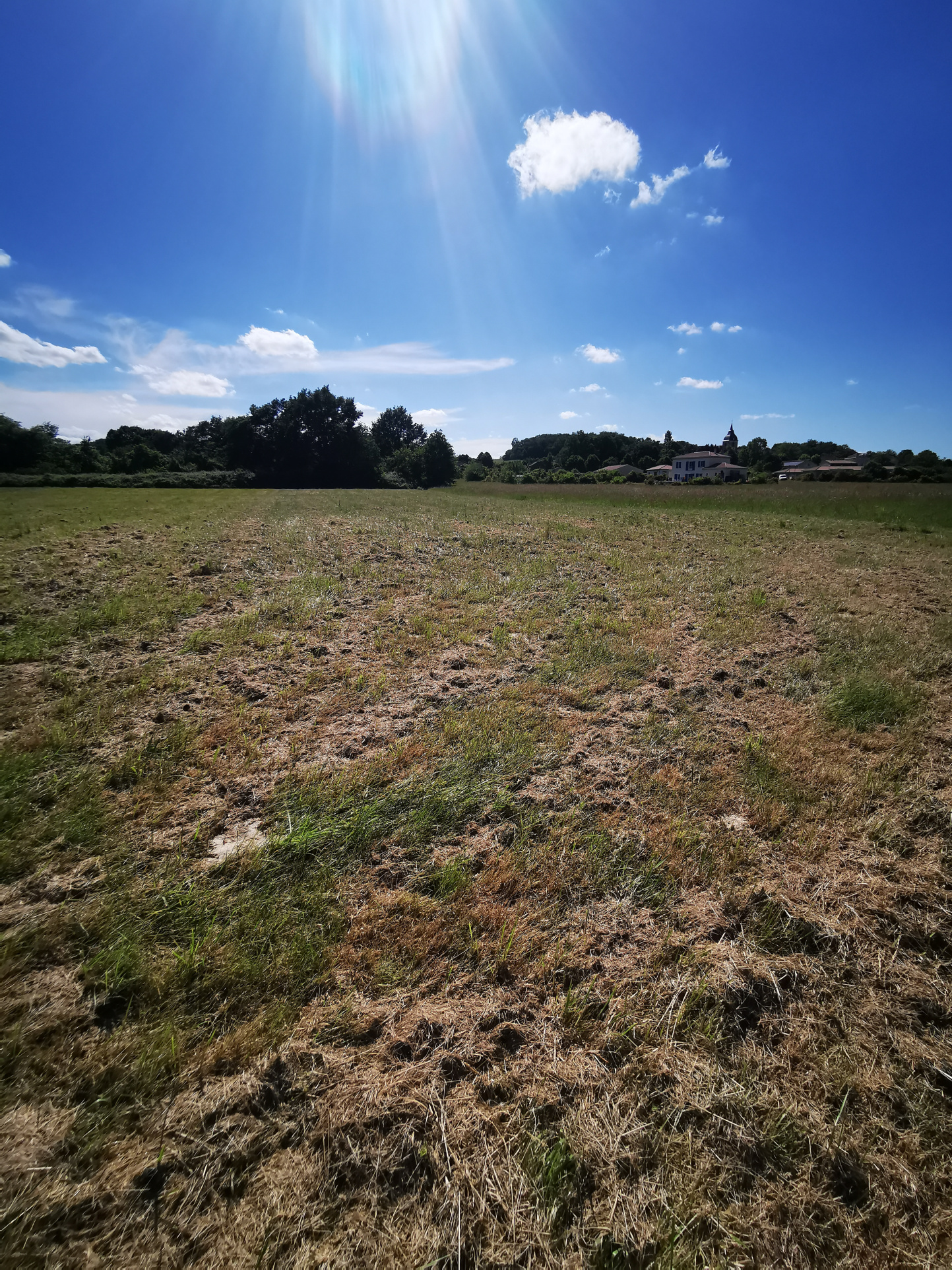 Terrain à bâtir de 3 744m2, non viabilisé, à Ladevèze-Rivièr