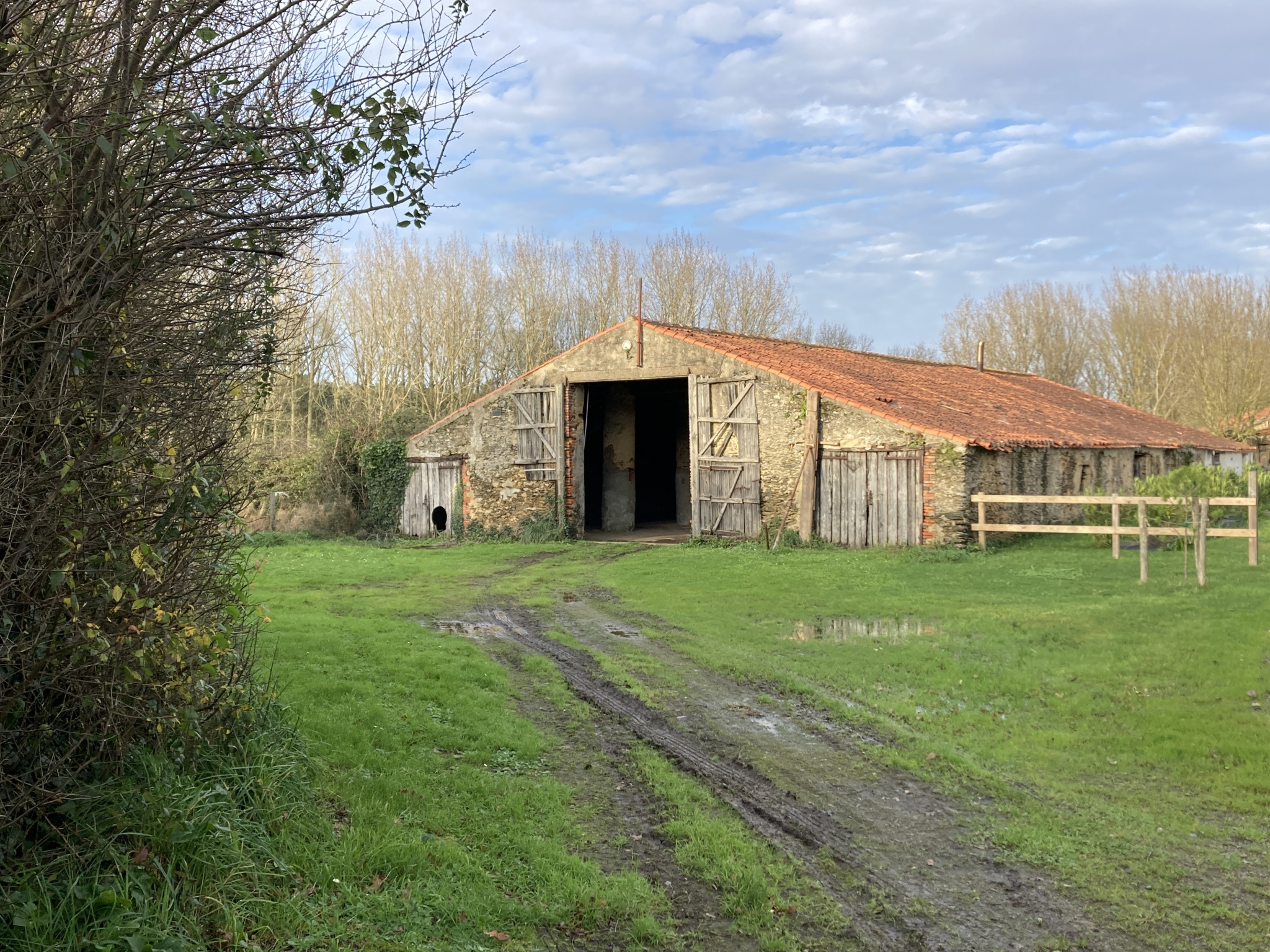 Photo bien immobilier